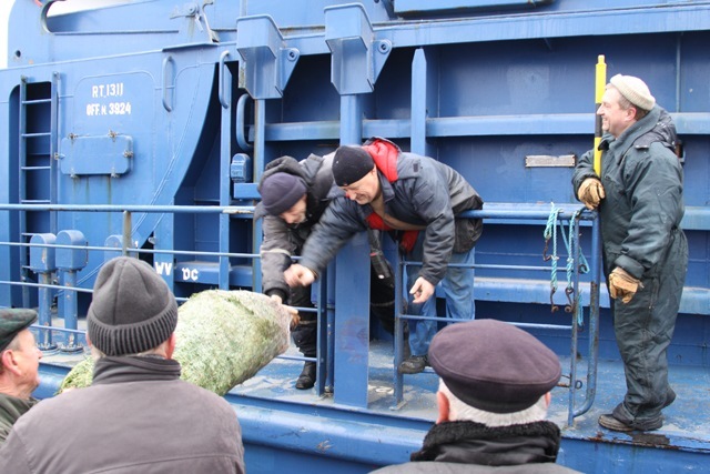„Tannenbaumwerfen“ im Rostocker Seehafen