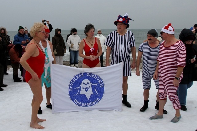 Die Rostocker Seehunde am Warnemünder Strand