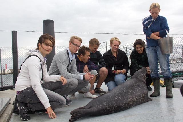 Campus of Excellence in Rostock: Besuch der Robbenforschungsstation