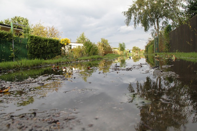 Kein Seuchenalarm nach Regenunwettern in Rostock