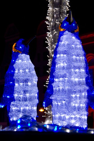 Pinguine Lichtinstallation