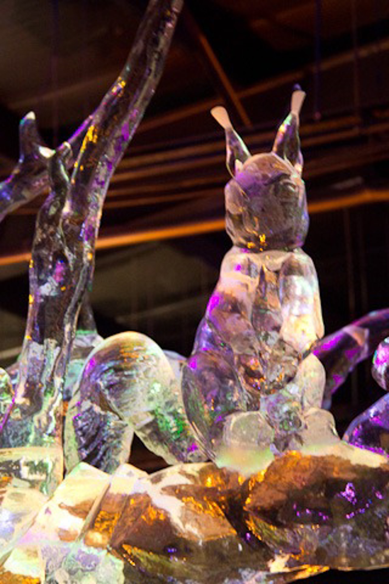 8. Eiszeit Karl's Erlebnis-Hof