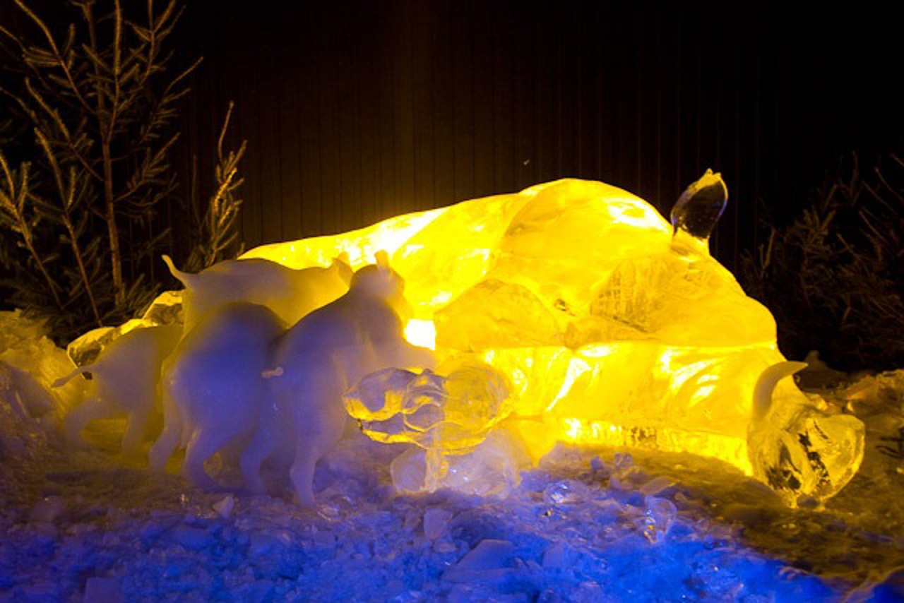 8. Eiszeit Karl's Erlebnis-Hof