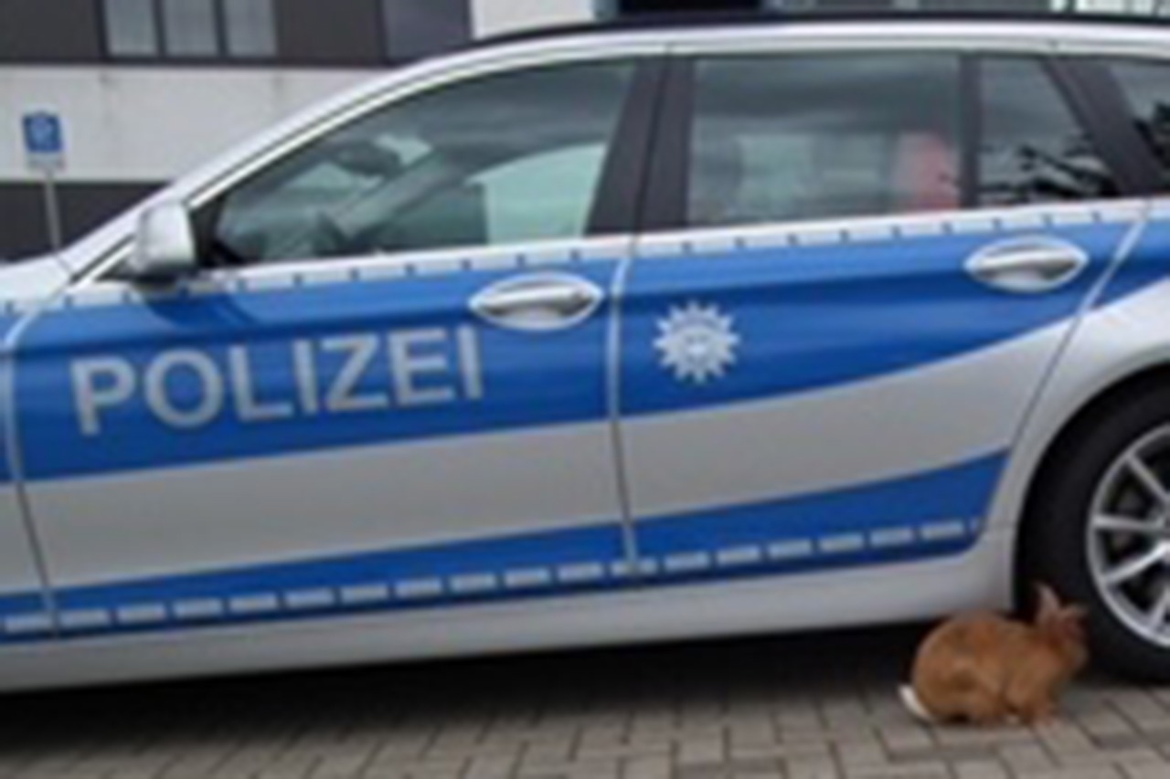 Entlaufender Hase bei der Bundespolizeiinspektion Rostock