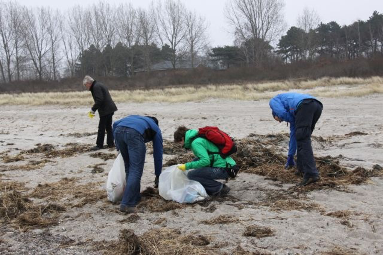 Freiwillige Helfer sammeln Plastik-Müll am Strand von Hohe Düne