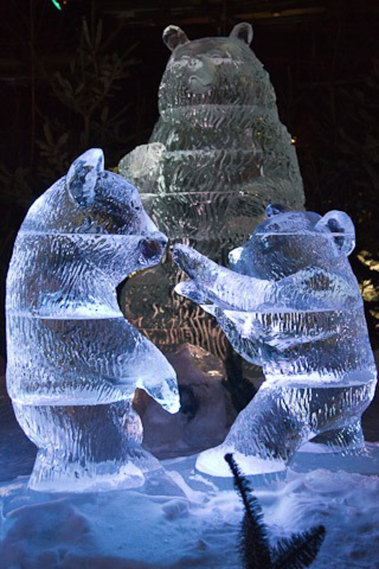 8. Eiszeit Karl's Erlebnis-Hof