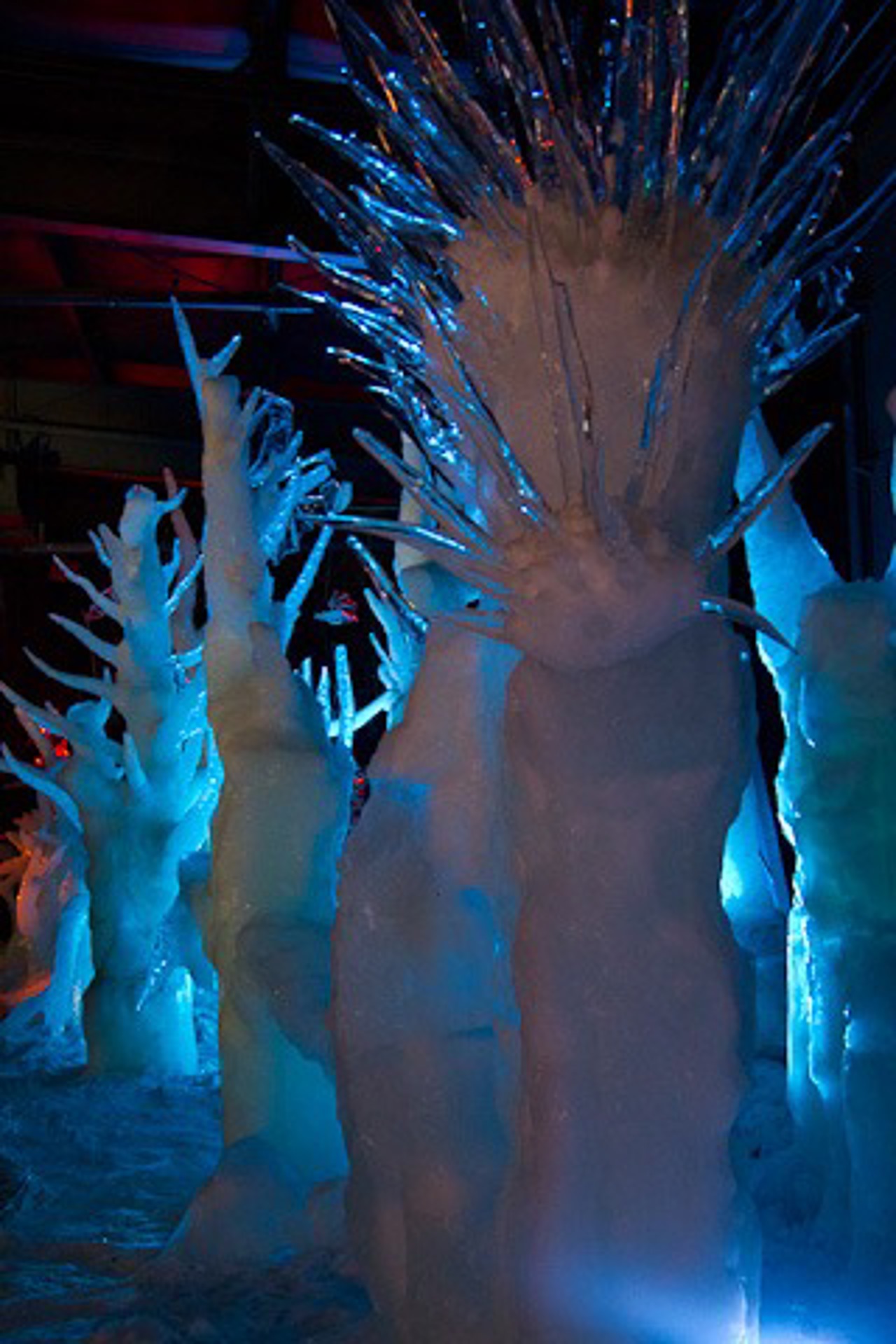 8. Eiszeit Karl's Erlebnis-Hof