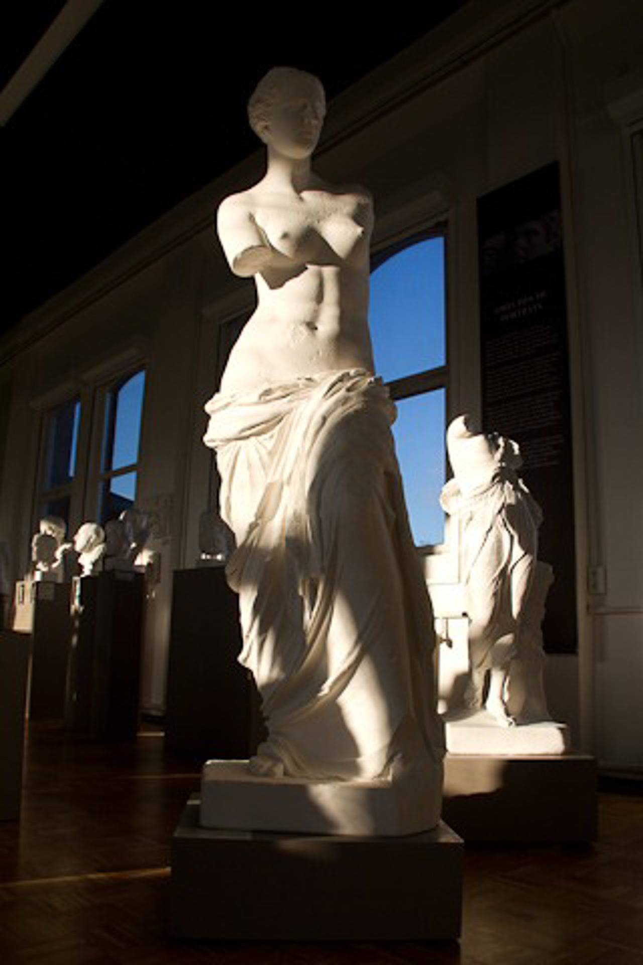 Aphrodite von Melos in der Abgusssammlung der Uni Rostock