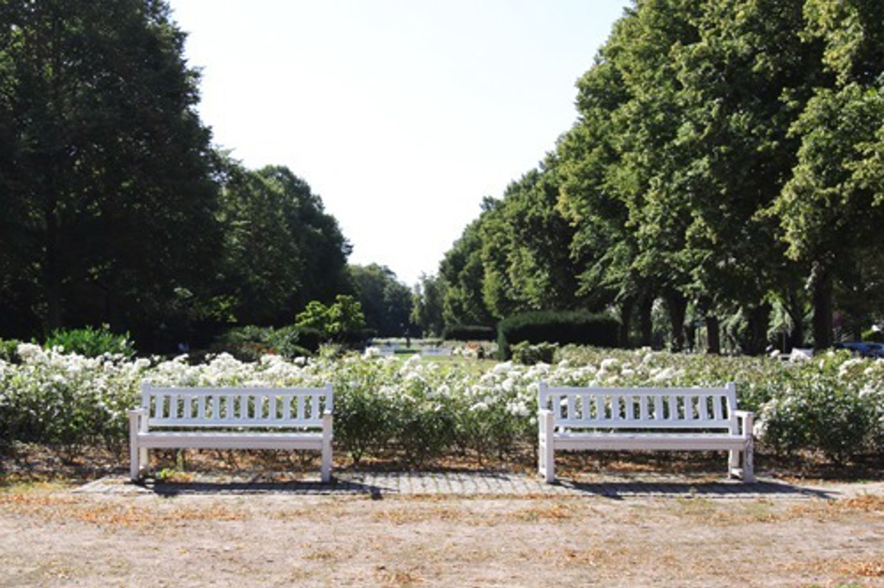 Rosengarten Rostock
