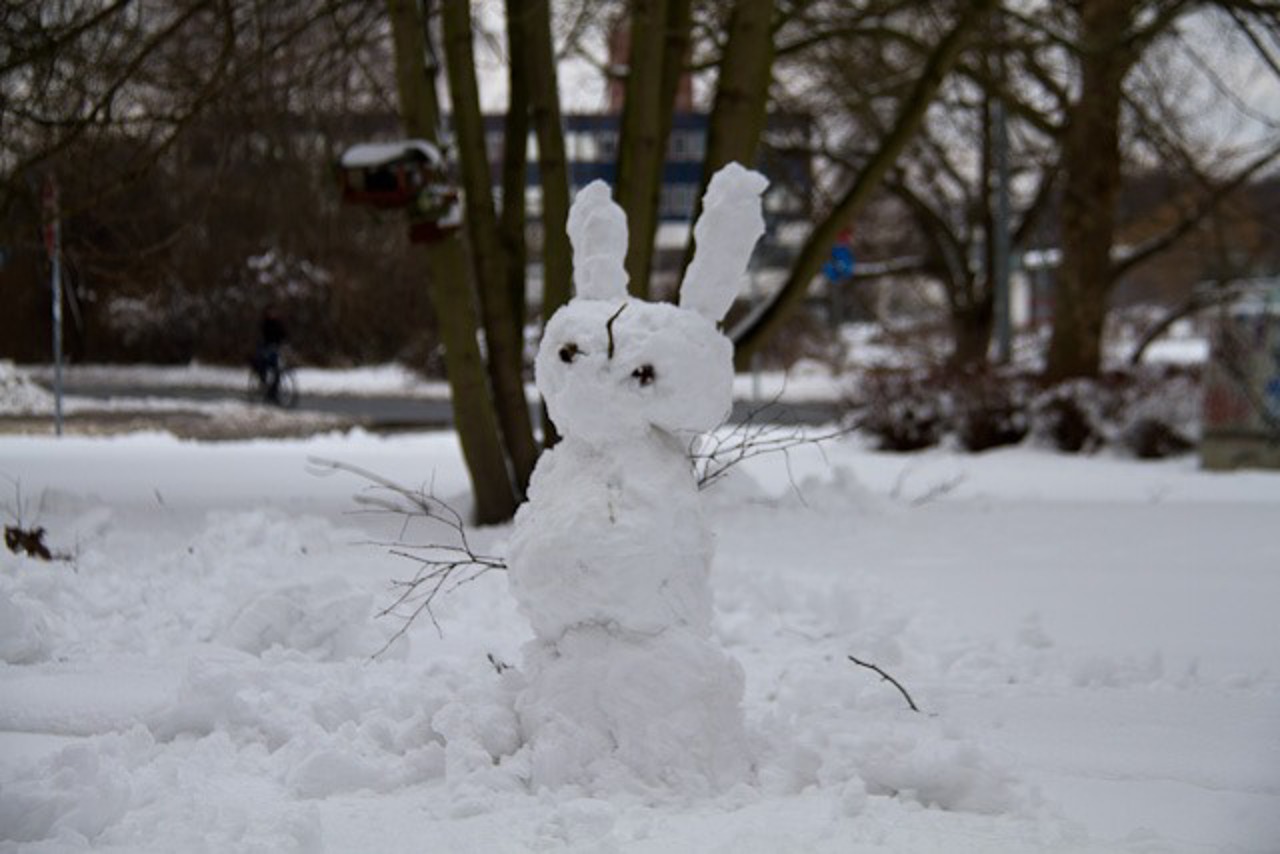 Schneehase zu Ostern 2013