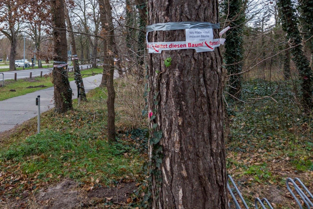 „Wo Räder rollen, müssen Bäume weg!“ - Protest gegen Baumfällungen im Küstenwald Warnemünde
