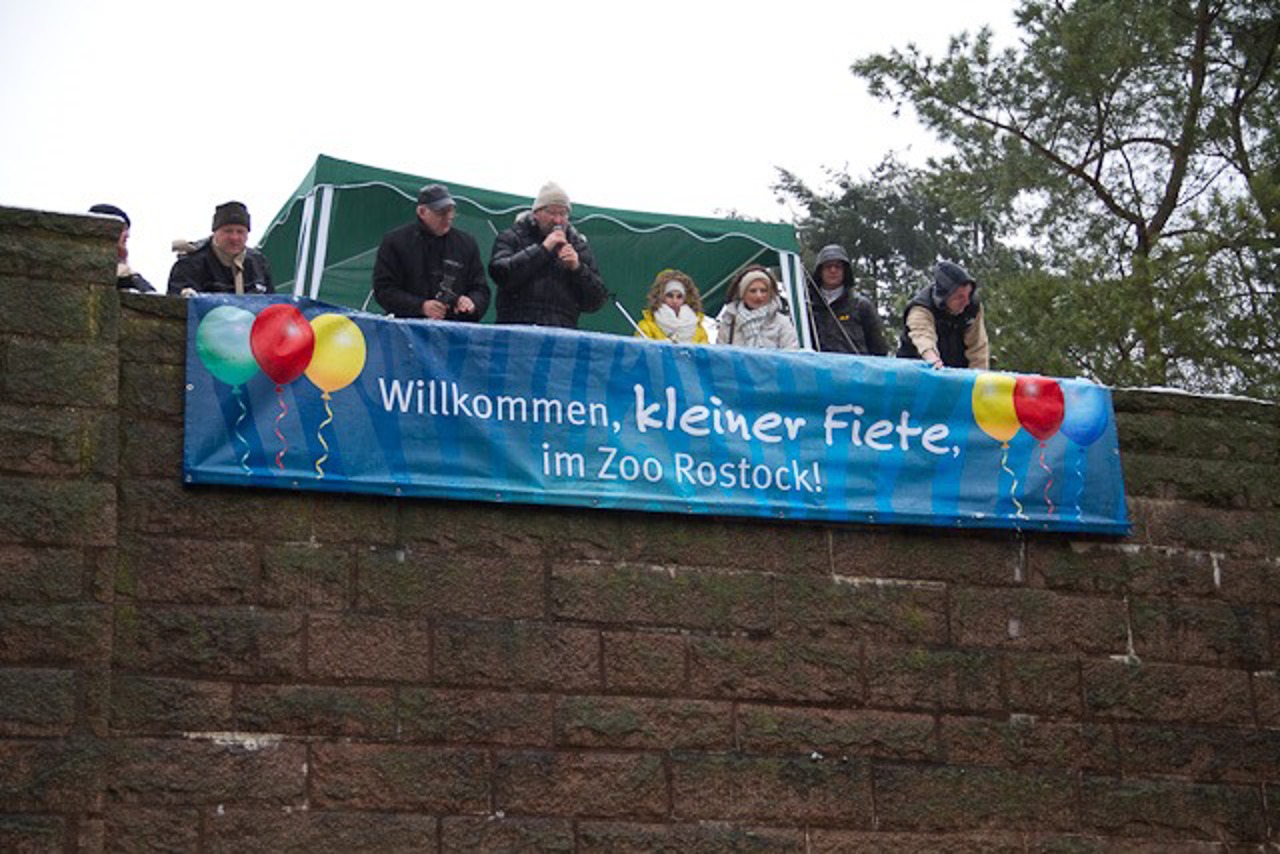Die Entscheidung für den Namen des Rostocker Eisbärennachwuchses ist gefallen : Fiete.