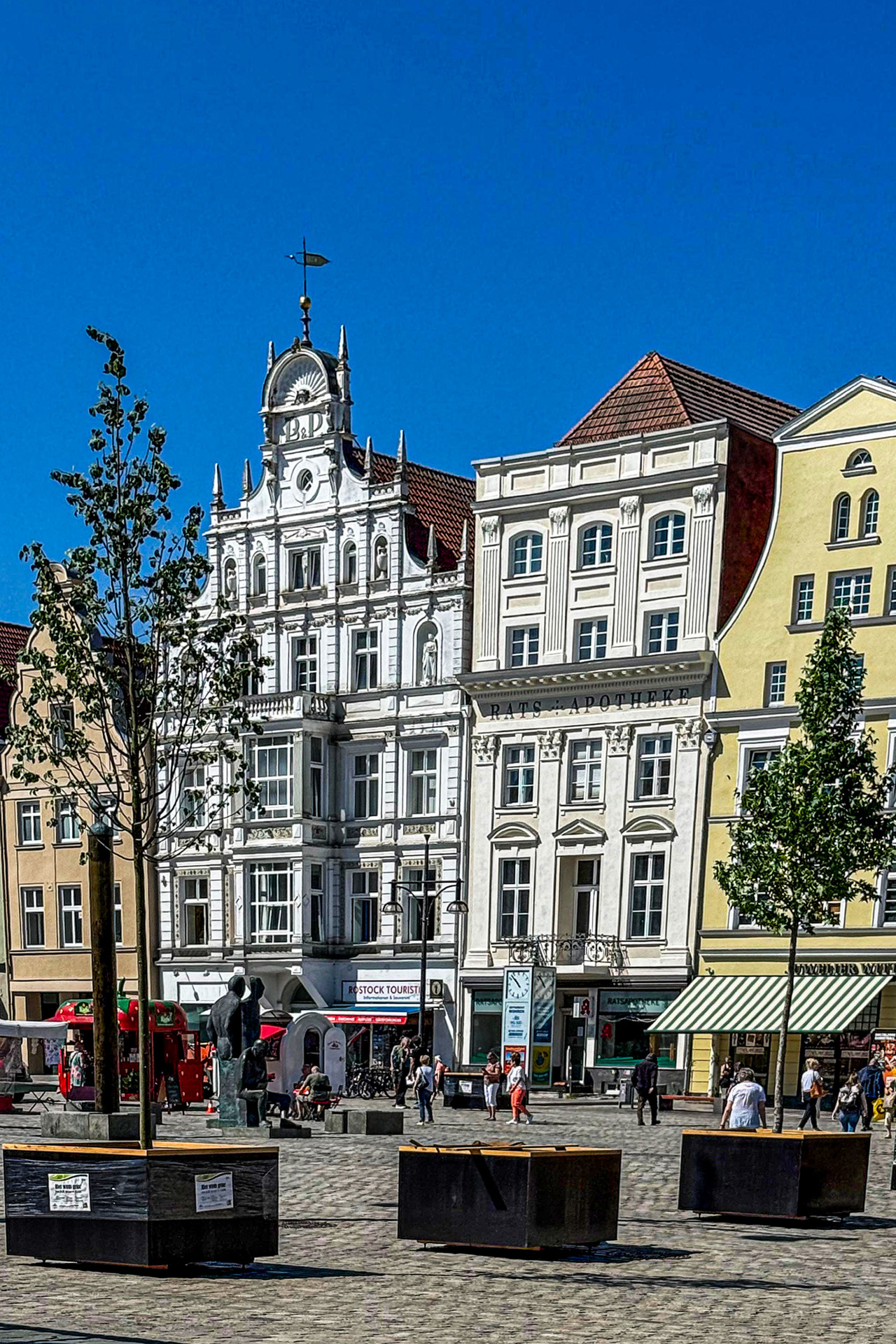 Begrünung auf dem Neuem Markt in Rostock - die Schattenwirkung hält sich in Grenzen