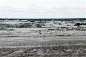 Wellenschlagende Ostsee in Warnemünde