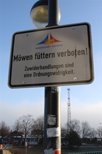 Möwen füttern verboten Möwen füttern verboten