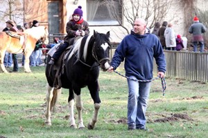 Ponyreiten im Zoo