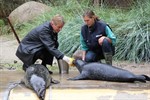 OstseeSparkasse und Rostocker Zoo – seit 16 Jahren treu