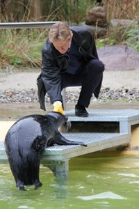 Frank Berg (OSPA) bei den Seehunden im Zoo Rostock