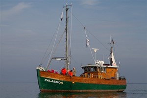 Fischfang im künstlichen Riff vor Nienhagen