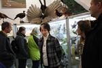 Schönheit und Artenvielfalt im Tierreich in der Zoologischen Sammlung der Universität