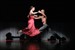 T.A.N.G.O. im Theater im Stadthafen