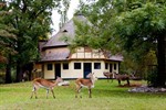 Historische Huftieranlage im Rostocker Zoo neu gestaltet