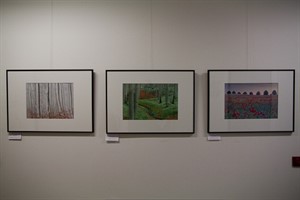 "Natur-Momentaufnahmen" Ausstellung im StALU MM