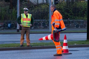 Weihnachtsbäume für den Rostocker Weihnachtsmarkt Weihnachtsbäume für den Rostocker Weihnachtsmarkt