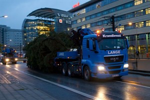 Weihnachtsbäume für den Rostocker Weihnachtsmarkt Weihnachtsbäume für den Rostocker Weihnachtsmarkt