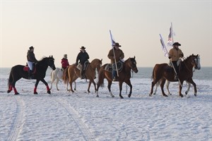 Die Pferdefreunde der Ostseeküste