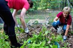 Kreuzfahrer helfen im Rostocker Zoo