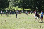 Kubb Open 2011 in Rostock