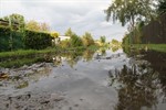 Kein Seuchenalarm nach Regenunwettern in Rostock