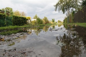 Überschwemmte Kleingartenanlage in Rostock-Warnemünde