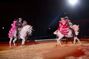 Die Familie López mit ihren Andalusiern bei der Feria Die Familie López mit ihren Andalusiern bei der Feria