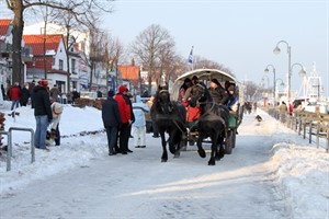 Reiterumzug und Kutschfahrt durch Warnemünde