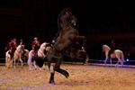S. Perla in der Royal Horse Gala