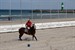 Beach Polo Ostsee Cup 2012 in Warnemünde