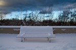 Warnemünder Promenadenbank gut besetzt mit Schnee