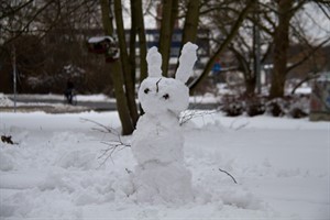 Schneehase zu Ostern 2013 Schneehase zu Ostern 2013