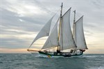 Open-Ship: Greenpeace-Schiff in Warnemünde