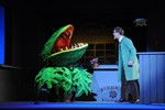 Der Kleine Horrorladen - Musical im Volkstheater Rostock