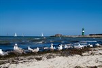 Rettungsschwimmer erneut in Warnemünde im Einsatz