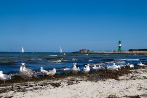Am Strand von Warnemünde ist es nicht ungefährlich zu nah an der Mole zu baden Am Strand von Warnemünde ist es nicht ungefährlich zu nah an der Mole zu baden