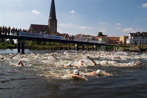 Warnowschwimmen 2013