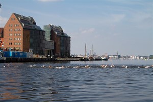 Warnowschwimmen im Stadthafen