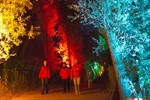 Lichtklangnacht 2013 - Meerjungfrauen im IGA-Park