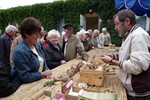 Pilzberatungen im Botanischen Garten Rostock