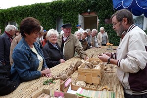 Pilzberatungen im Botanischen Garten Rostock Pilzberatungen im Botanischen Garten Rostock