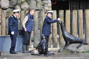 Marine verlängert Patenschaft mit Seebären im Rostocker Zoo